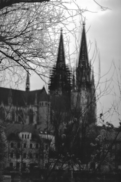 Regensburg, Film