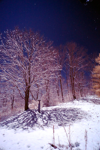 Snowy night moonlit infrared