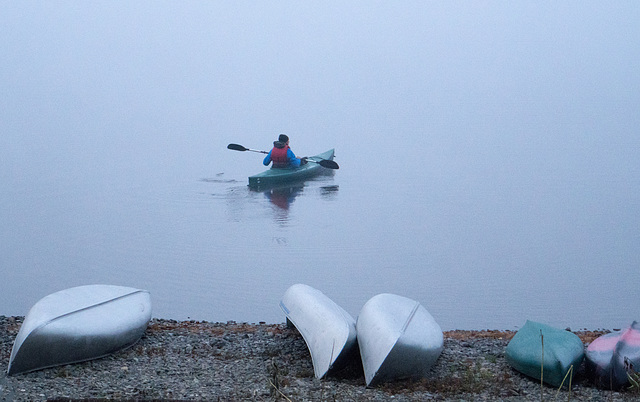 Morning paddler