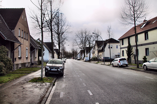 Schultenstraße (Gladbeck) / 24.12.2022