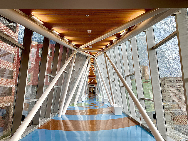 Dr Caligari, I Presume