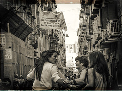 Die Sachverständigen des Lebens  :-)