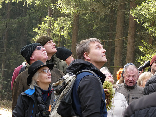 Blick zu den Wildgänsen