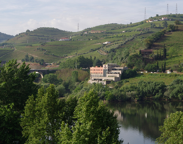 The Douro Valley