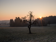 Sonnenaufgang