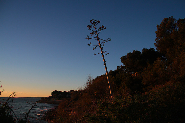 Chaleur d'un coucher de soleil