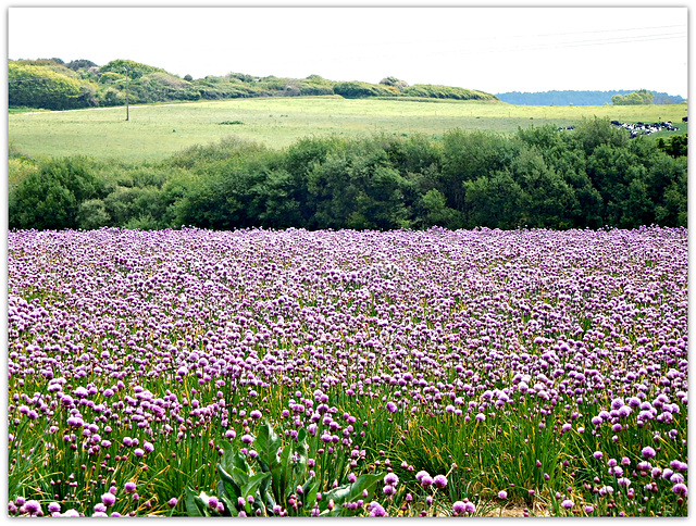 campagne lorientaise,