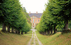 Lindenallee zum Schloss Bothmer / bei Klütz MV