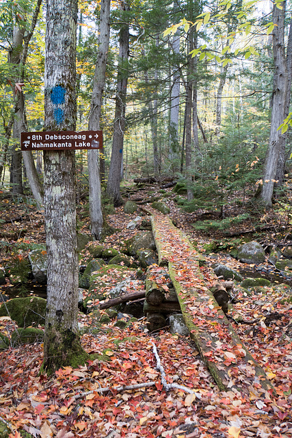 Trail bridge