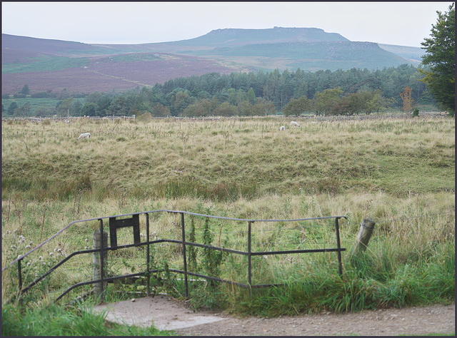 A  ''Happy fence Friday''  to everyone..... from  Dj.....