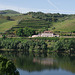 The Douro Valley