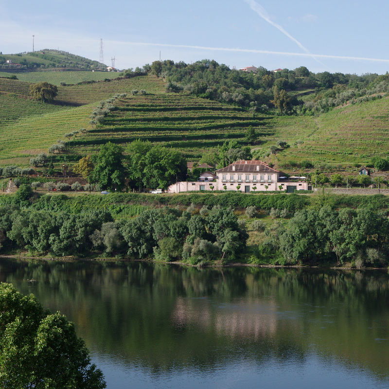 The Douro Valley