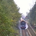 VÖ0000357