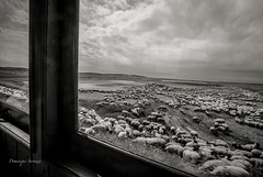 La Baie de Somme