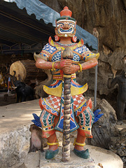 Warrior Warrior