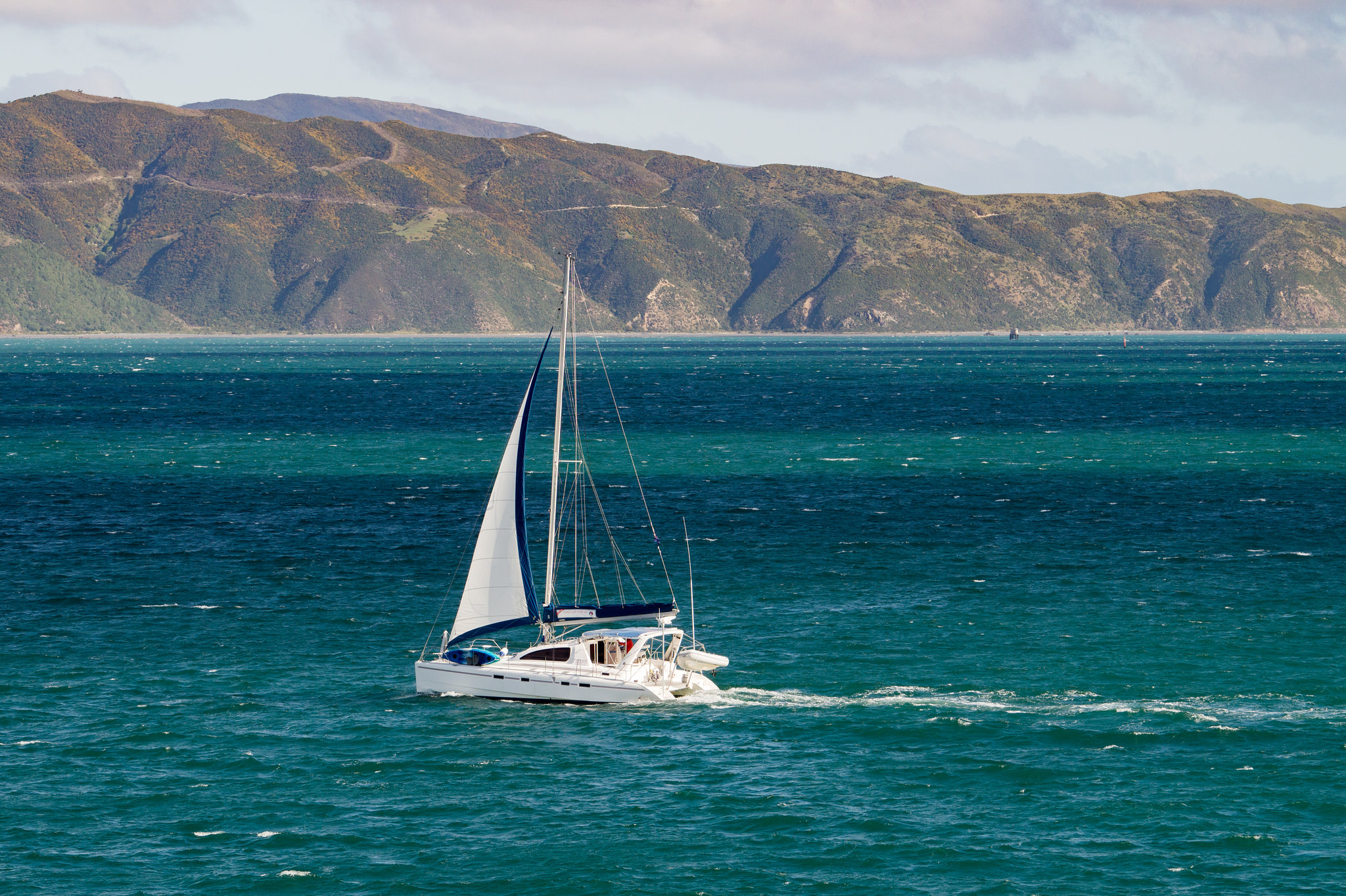 Neuseeland - Wellington Harbour