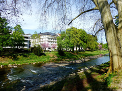 Frühling an der Ahr