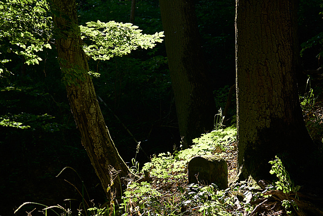 Grenzstein auf der Hangkante