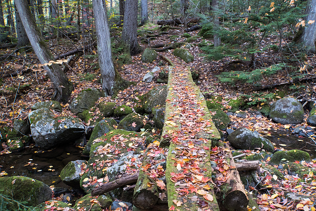 Trail bridge 2