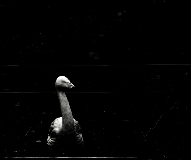 Tiergarten Straubing, Film