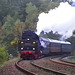 VÖ0000356