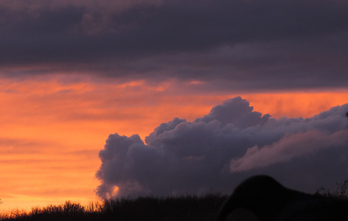 Monster  Cloud