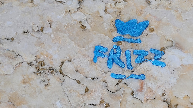 FRIZZ