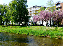 Frühling an der Ahr