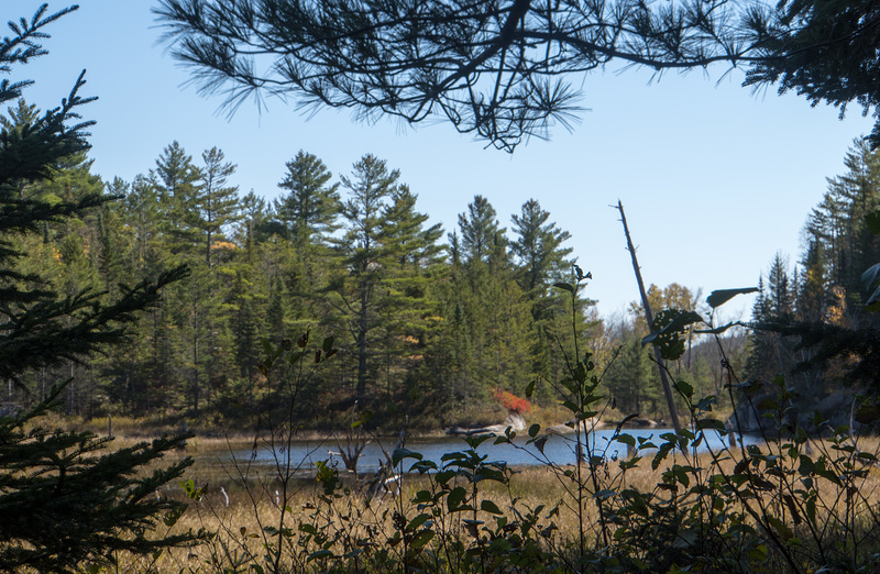 Pond on trail