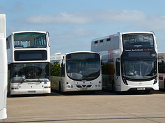 Coach Services X509 EGK, YT59 NZG and CS22 BUS at the Thetford yard - 8 May 2022 (P1110517)