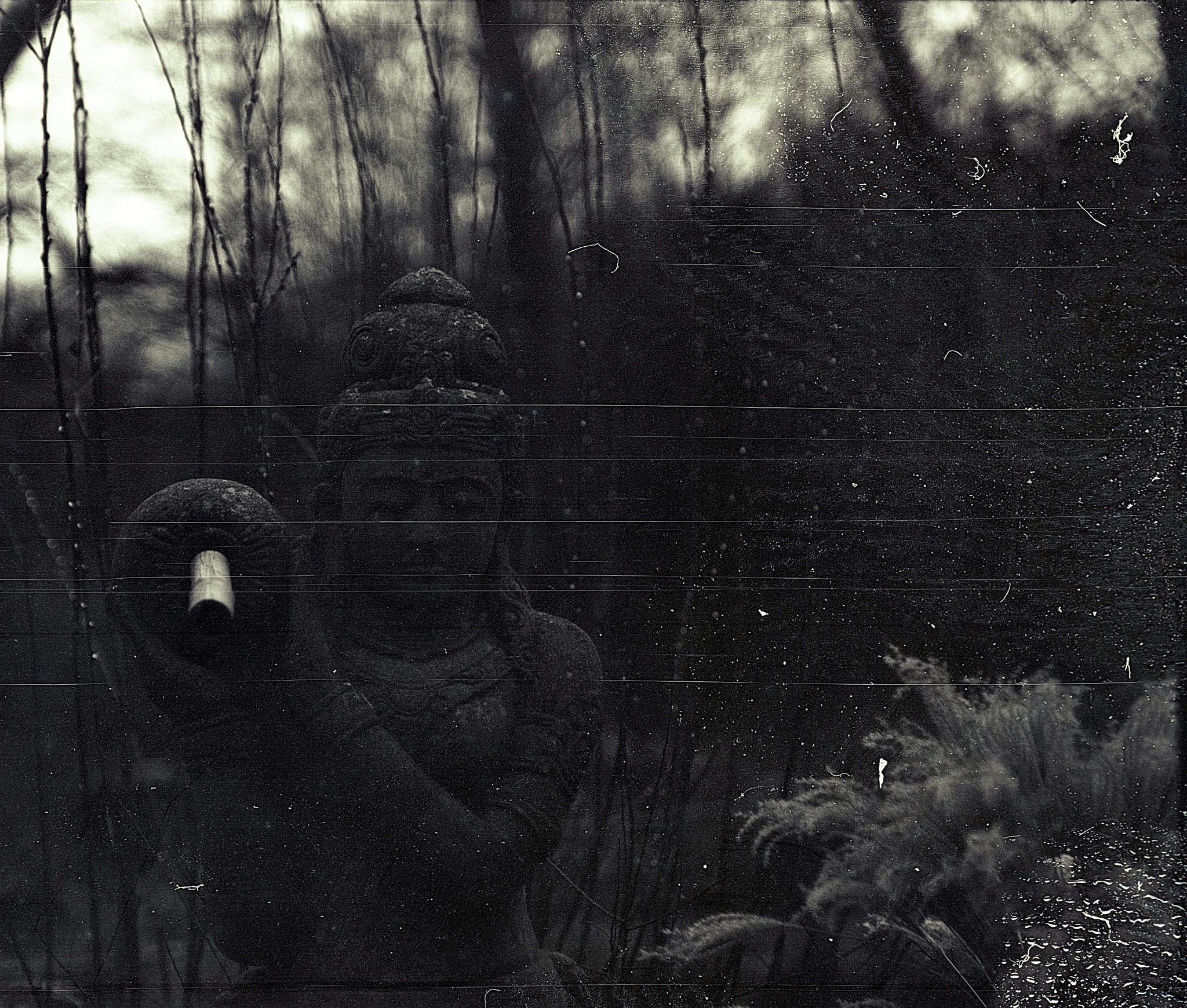 Tiergarten Straubing, Film
