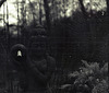 Tiergarten Straubing, Film