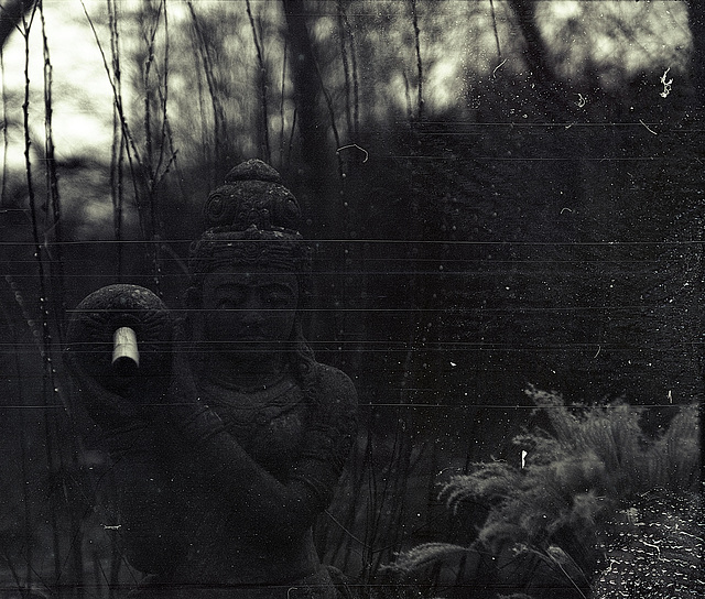 Tiergarten Straubing, Film