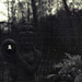 Tiergarten Straubing, Film