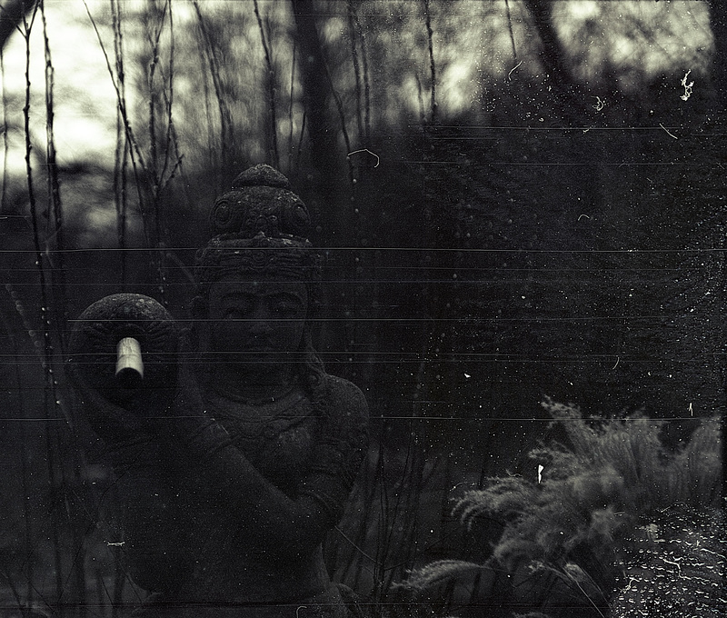 Tiergarten Straubing, Film