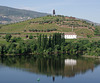 The Douro Valley