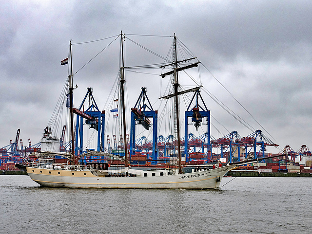 Die "Mare Frisium" läuft aus - Hamburg