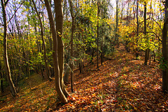 Auf dem Calenberg-Harz-Weg zwischen Lichtenberg und Gebhartshagen