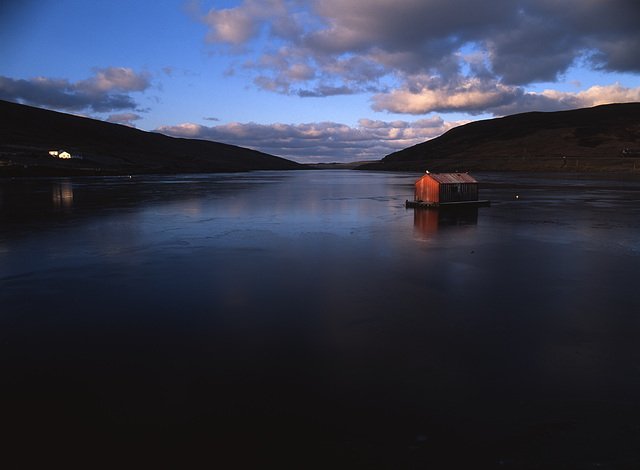 Shetland