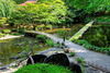 walkway Garden