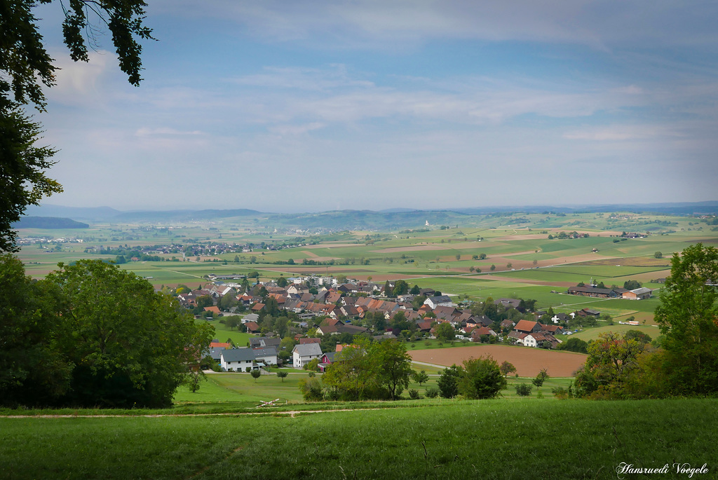 Blick auf Siblingen im Kantan Schaffhausen