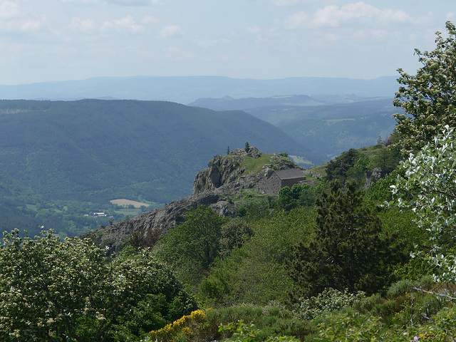 20230606 -08 Lozère tritons (155)