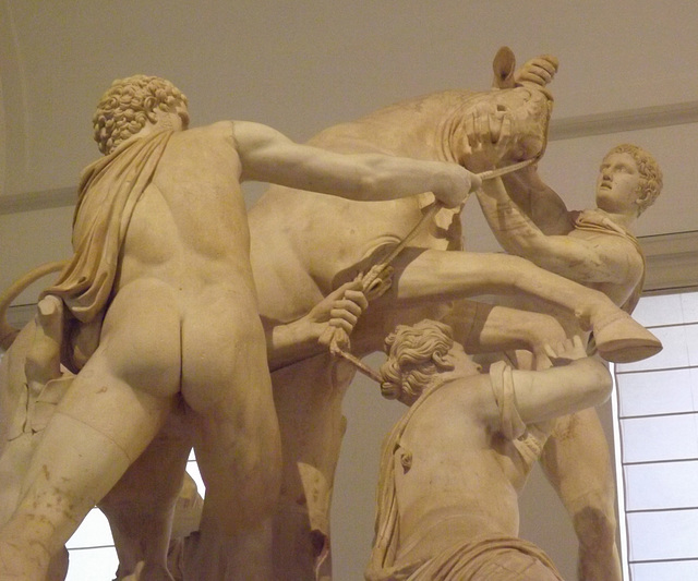 Detail of the Farnese Bull in the Naples Archaeological Museum, July 2012