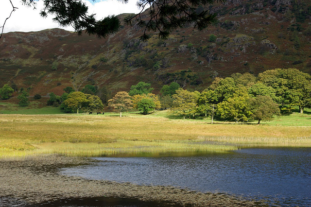 Blea Tarn