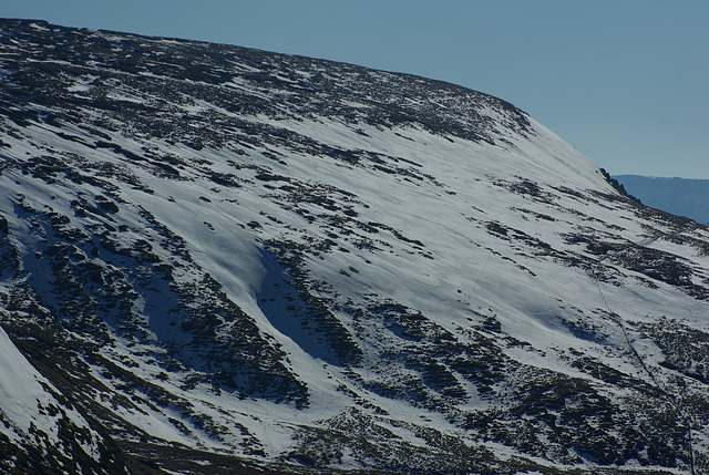 James’s Thorn. Snow on the west side