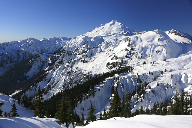 Mount Baker