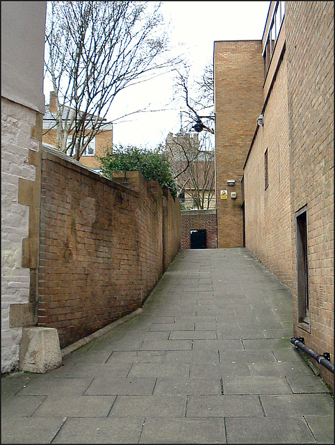 Roger Bacon Lane