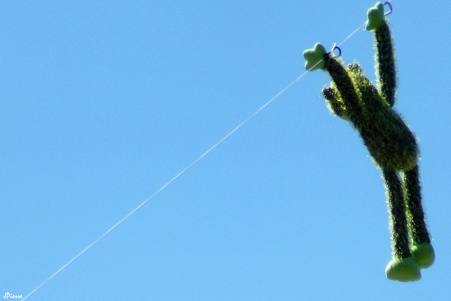 "Tyrolienne"