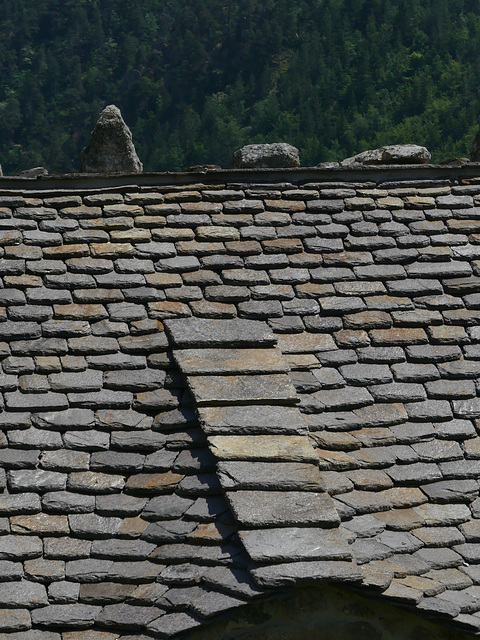 20230606 -08 Lozère tritons (159)