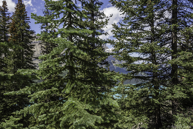 Peyto Lake (© Buelipix)